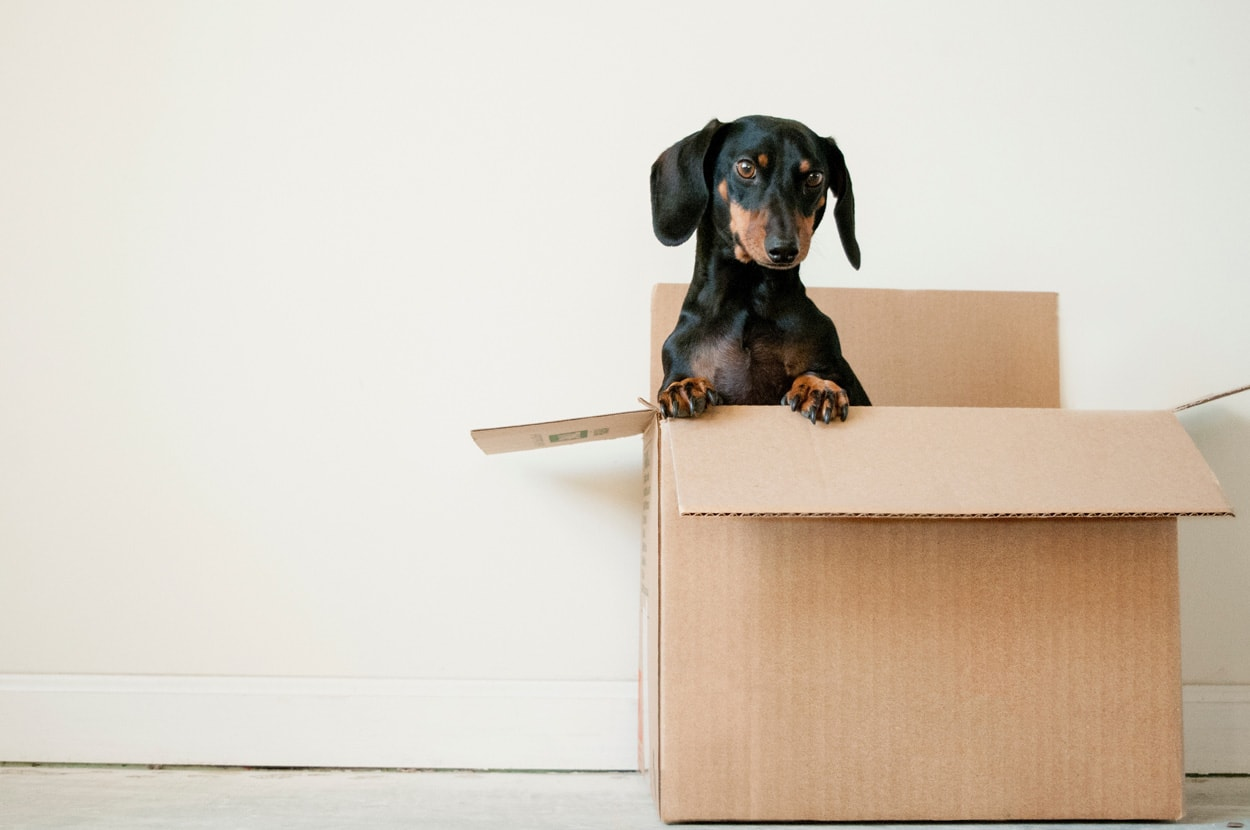 10 Best Sites To Get Free Stuff By Mail In 2022